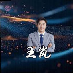 王岚
